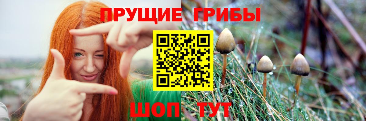 Псилоцибиновые грибы мухоморы  Псилоцибиновые грибы Magic Shrooms  Мелеуз  Вход с VPN 